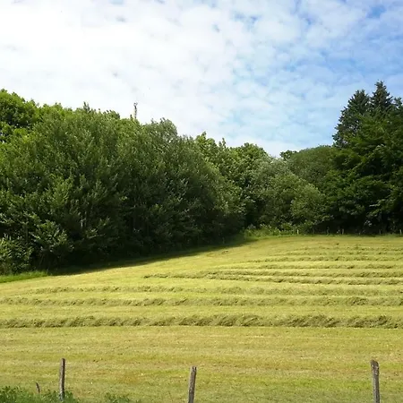 Niedersfeld Polzweg Διαμέρισμα *