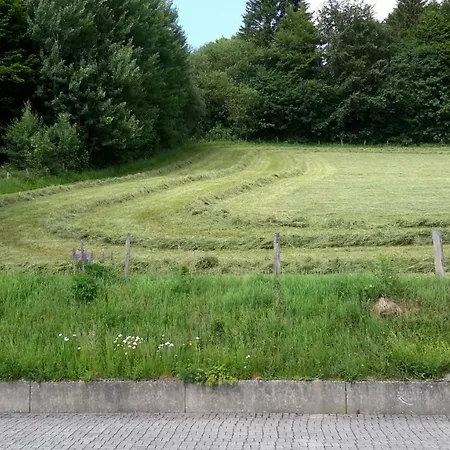 Niedersfeld Polzweg
